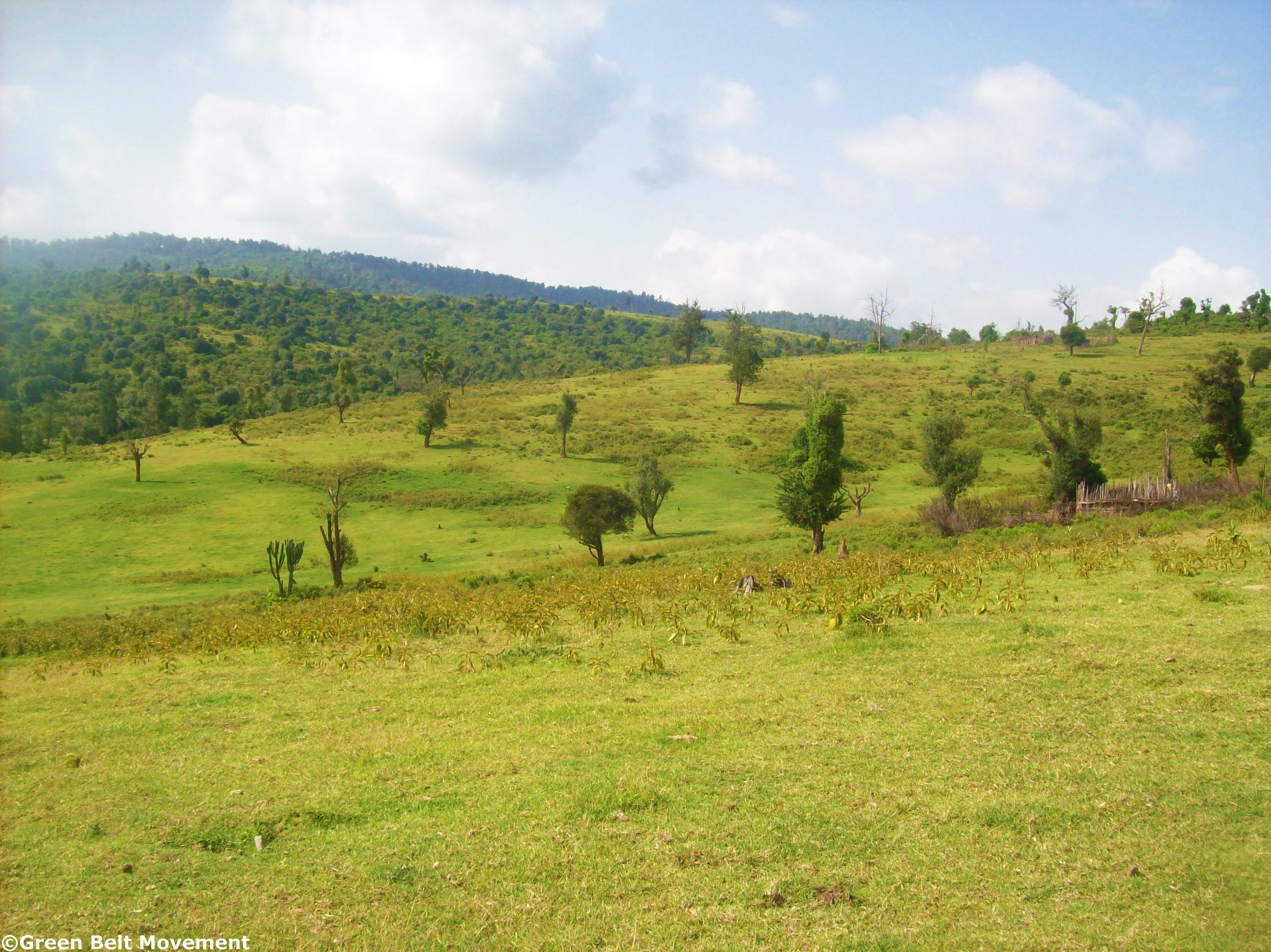 An area of Kirisia forest that has been affected by deforestation 