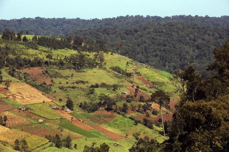 Large tracts of stripped natural forest in the Mau inhabited by settlers