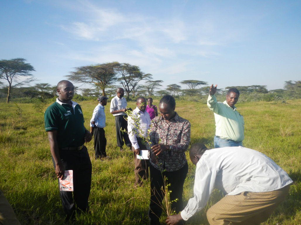 The team inspects one of the seedlings in the project area