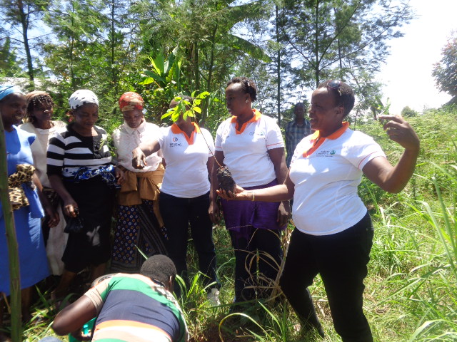 Tree planting with Mwireri women group