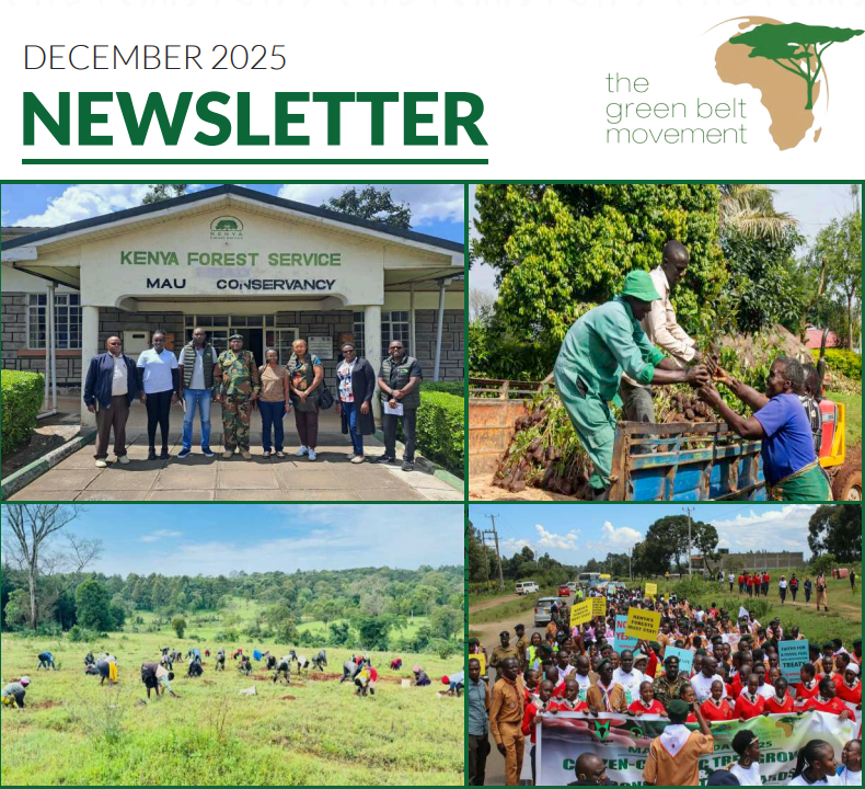 Screenshot 2025-12-22 091718