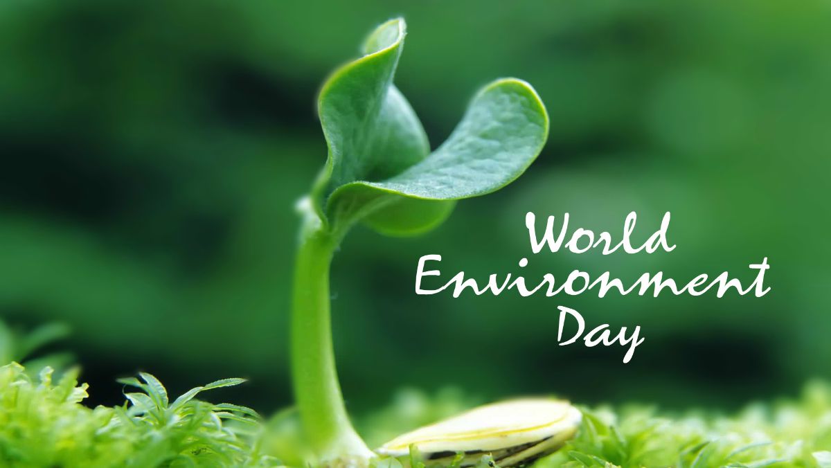 This World Environment Day, it's Time for Nature | The Green Belt ...