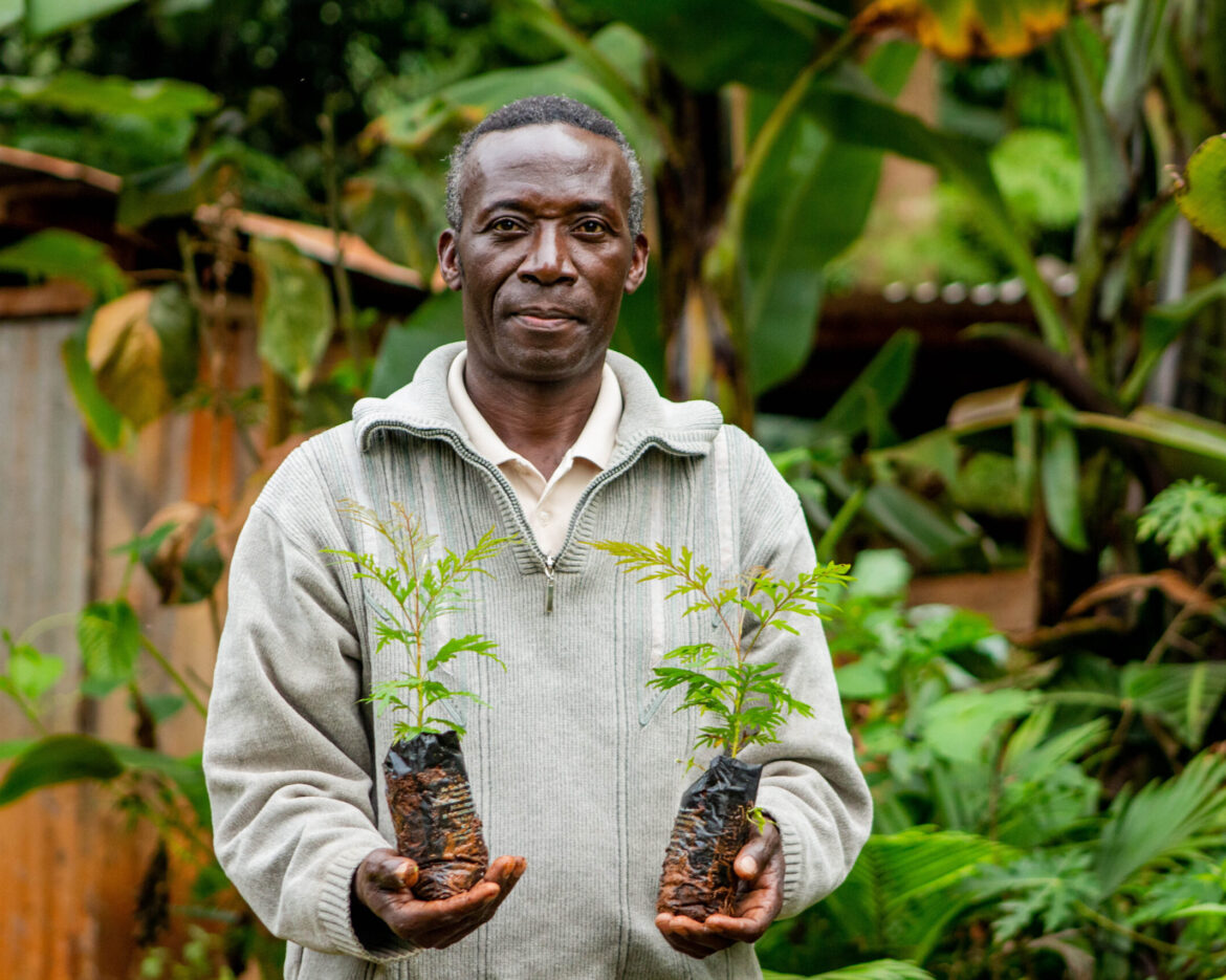 Kennenth Kamanda_ holding tree seedlings from his tree nursery_ Meru County_Saturday, ‎July ‎27, ‎2024