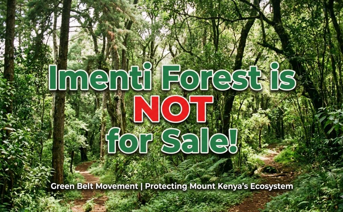 Imenti Forest is NOT for Sale!