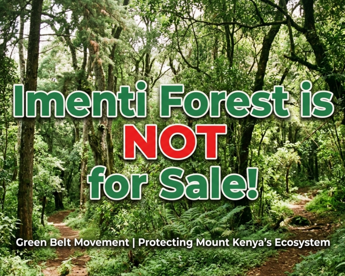Imenti Forest is NOT for Sale!