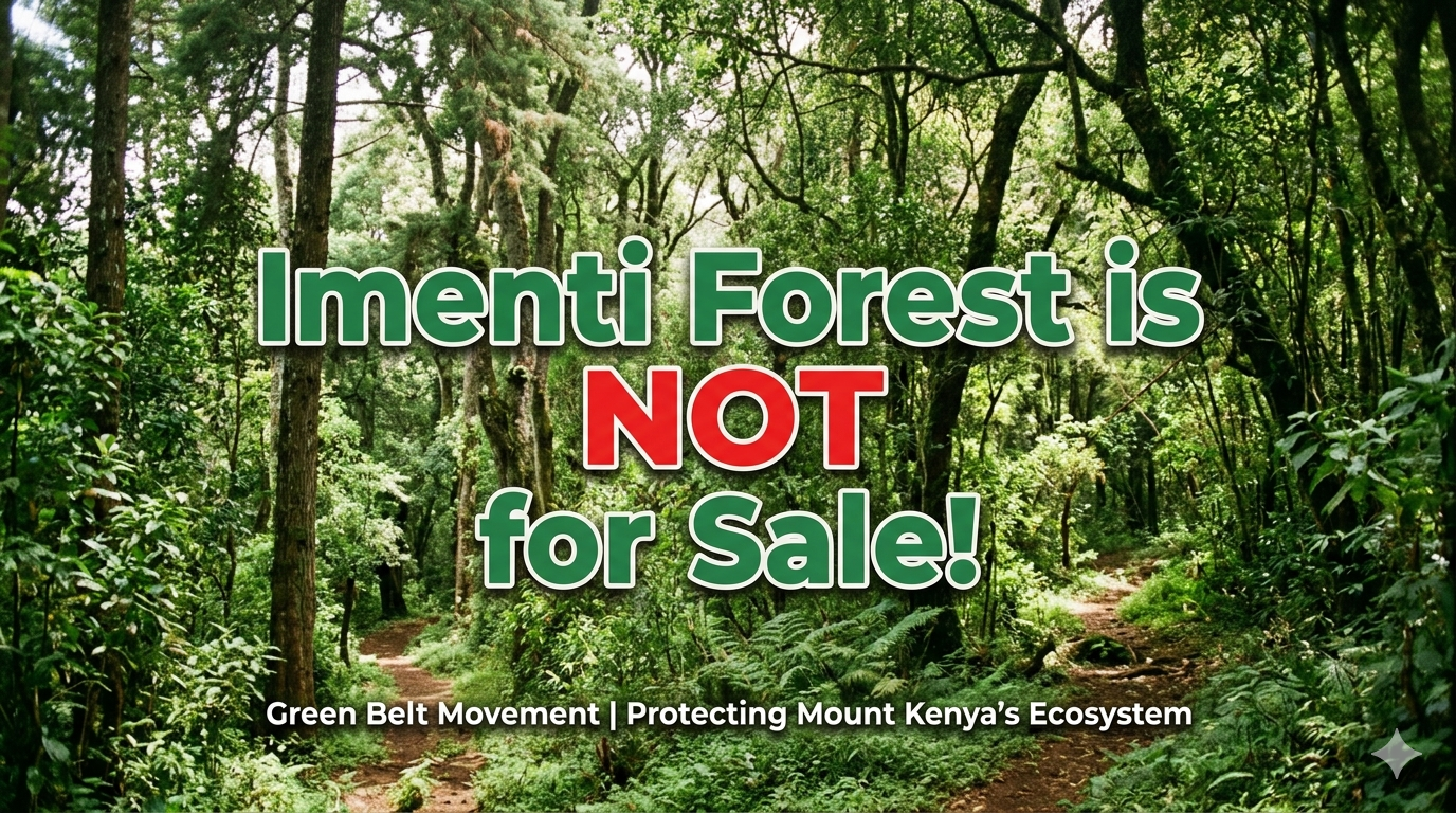 Imenti Forest is NOT for Sale!