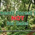 STATEMENT CONDEMNING THE EMERGING SCHEME TO CARVE UP IMENTI FOREST FOR AN AIRSTRIP, GOLF COURSE AND STATE LODGE