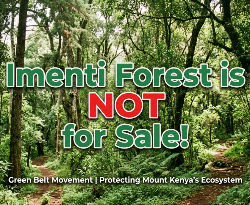 Imenti Forest is NOT for Sale!