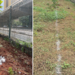 Green Belt Movement Raises Concern Over Reported Plans to Excise Parts of Uhuru Park and Central Park