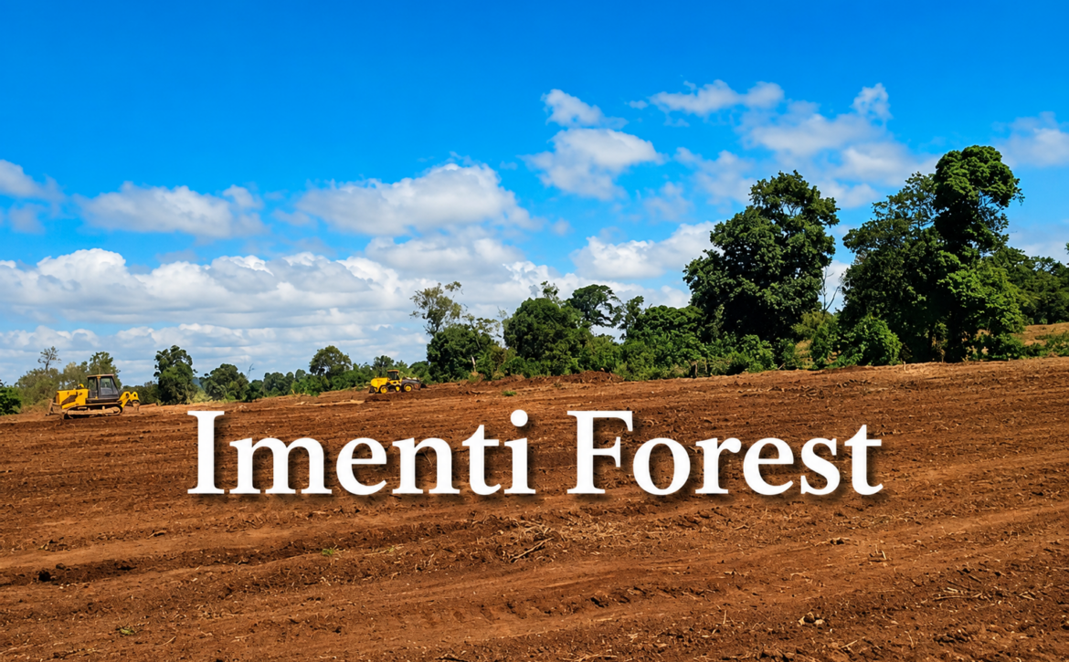 Imenti Forest