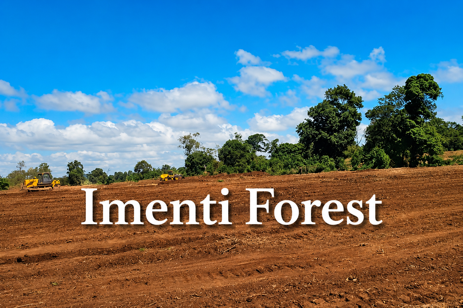 Imenti Forest