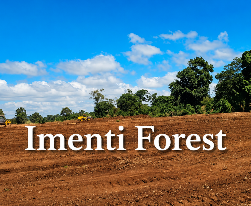 Imenti Forest